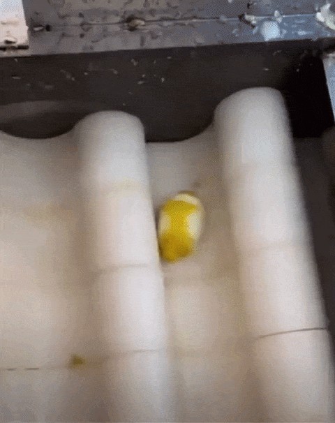 Animiertes GIF
