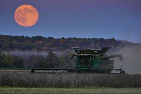 Heath Rohlfing harvests soy beans as the full &quot;beaver&quot; supermoon rises in the distance Wednesday, Nov. 5, 2025, near Boonville, Mo. (AP Photo/Charlie Riedel)
APTOPIX Supermoon Missouri