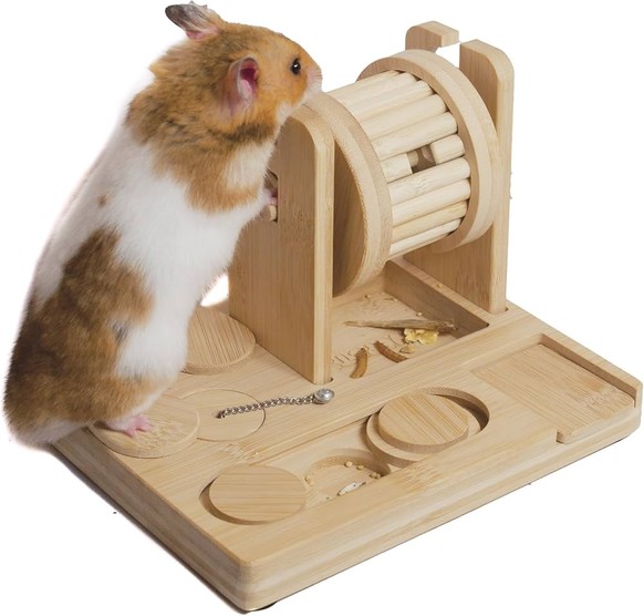 Suchspiel für Nager: Weihnachtsgeschenke fürs Haustier