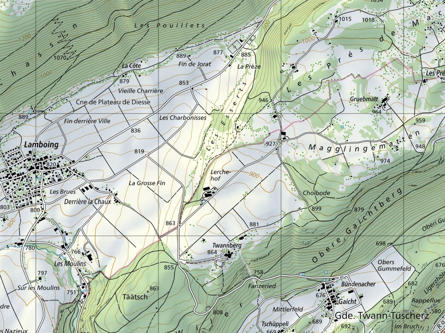 Oberhalb der Stadt Biel-Bienne treffen der französische und deutsche Sprachraum aufeinander. Das zeigt sich in den Flurnamen. Während Flurnamen wie «Gruebmatt» oder «Cholbode» auf der deutschschweizer ...