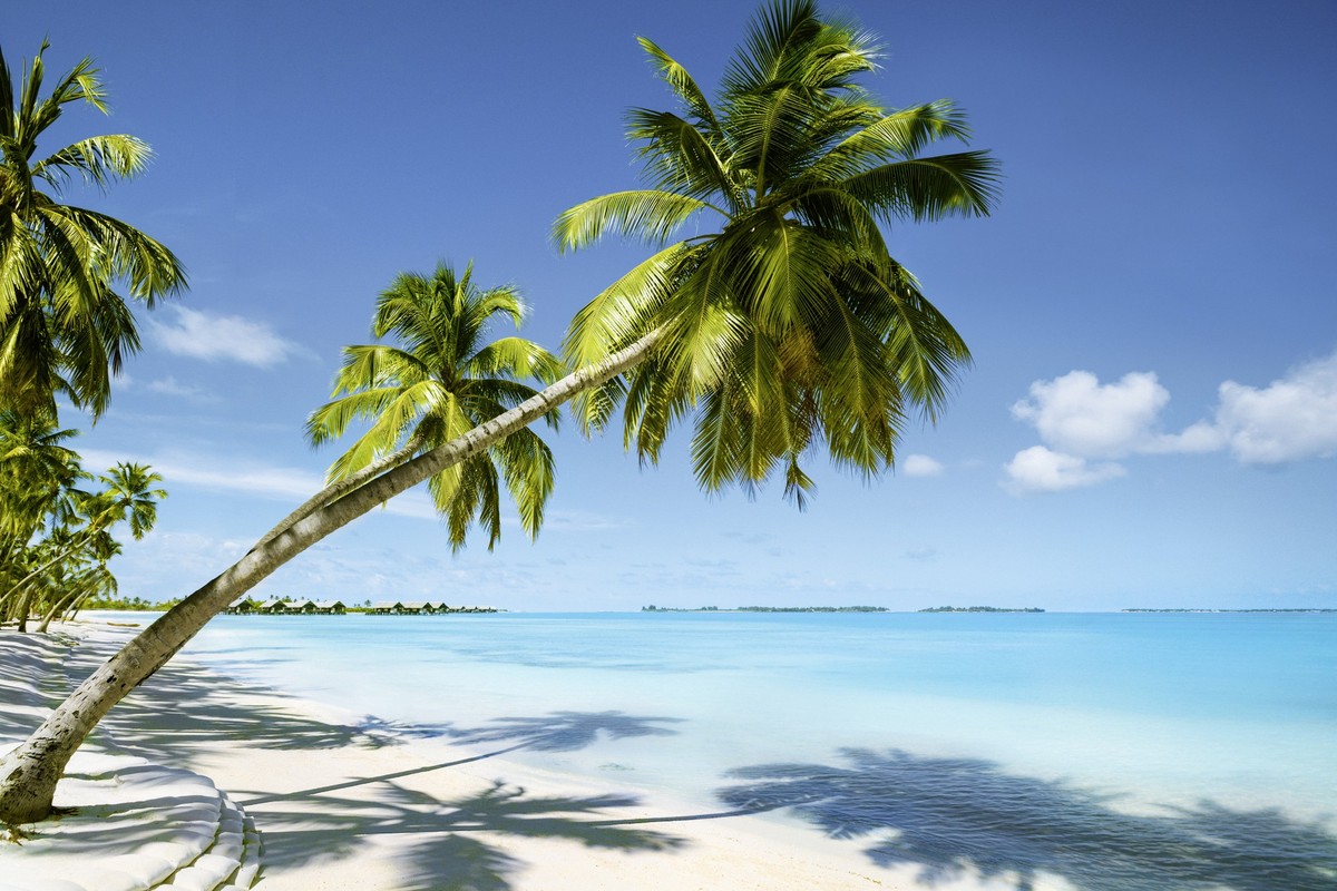 Beautiful Beach Resort