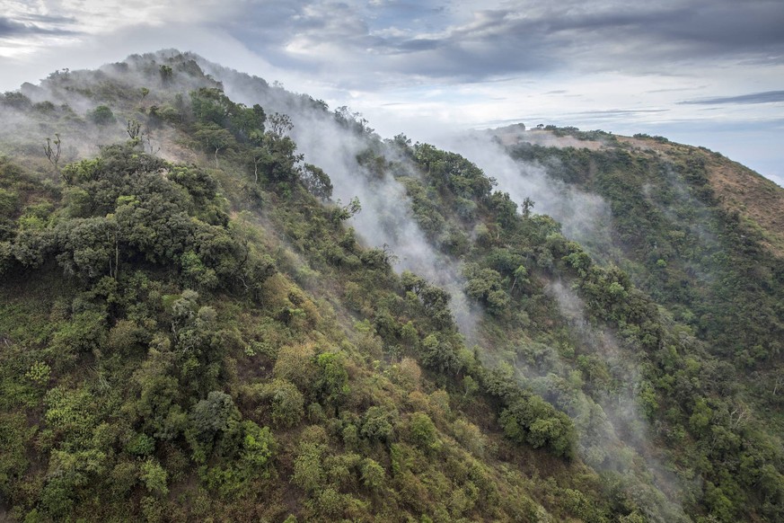 Africa, Kenya, Ngong Hills Nature Reserve, Aerial view of forest-covered slopes of Ngong Hills outside Nairobi PUBLICATIONxNOTxINxUSAxCANxMEX Copyright: xPaulxSoudersx/x AF21 PSO0461