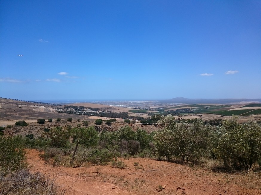 Trockener Boden und kaum Wolken am Himmel: Die Aussicht vom Rande des Weinbergs, auf dem sich Gina Canal derzeit befindet. Ganz hinten ist Robben Island zu erkennen.&nbsp;&nbsp;