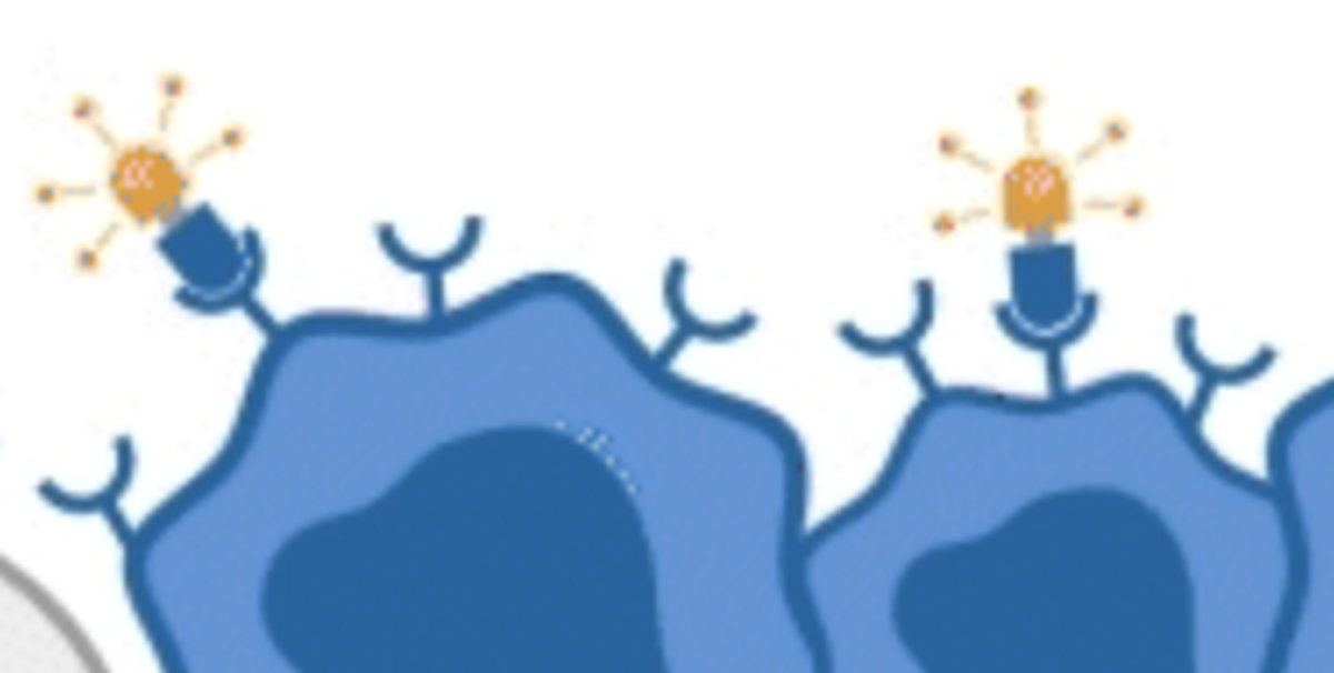 Radioligandentherapie radioligand therapy RLT