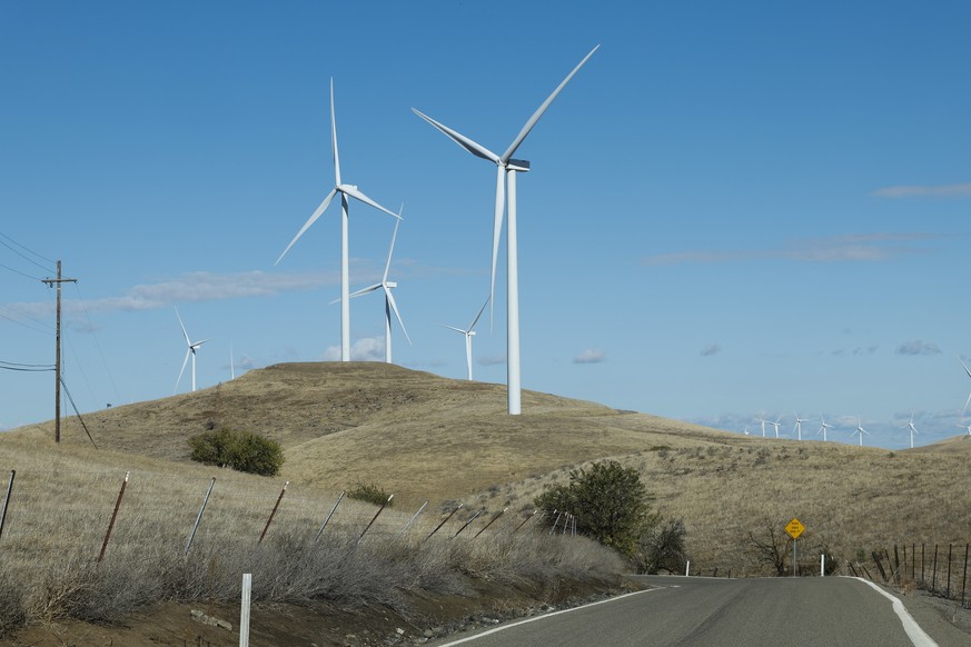 epa11723603 Wind turbines farm in Tracy, California, USA, 15 November 2024. During former President Donald Trump&#039;s presidential campaign, he spoke about his disdain for &#039;windmills&#039; or w ...