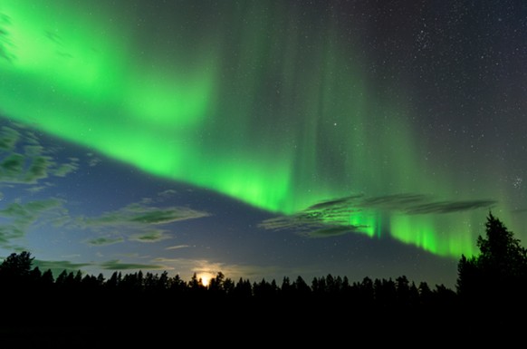 Der Moment, in dem du Polarlichter siehst, bleibt unvergessen – versprochen!