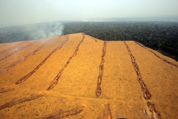 Large fields of soy are seen near the city of Santarem in the Brazilian state of Para, Dec. 2, 2004. (AP Photo/Victor R. Caivano) **EFE OUT**