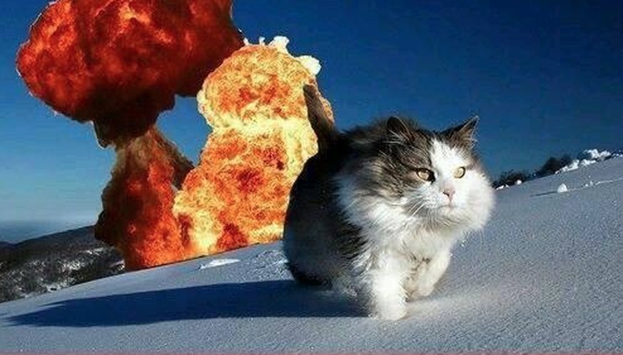 Die Katze in der Trafostation – eine kleine Geschichte des türkischen Wahlbetrugs
