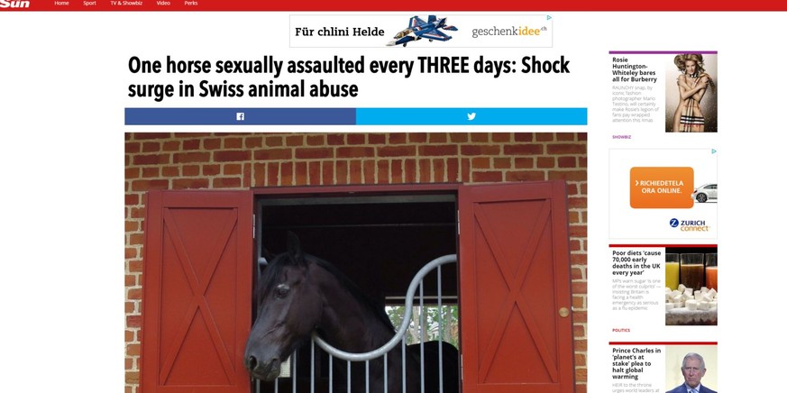 Pferd hat sex