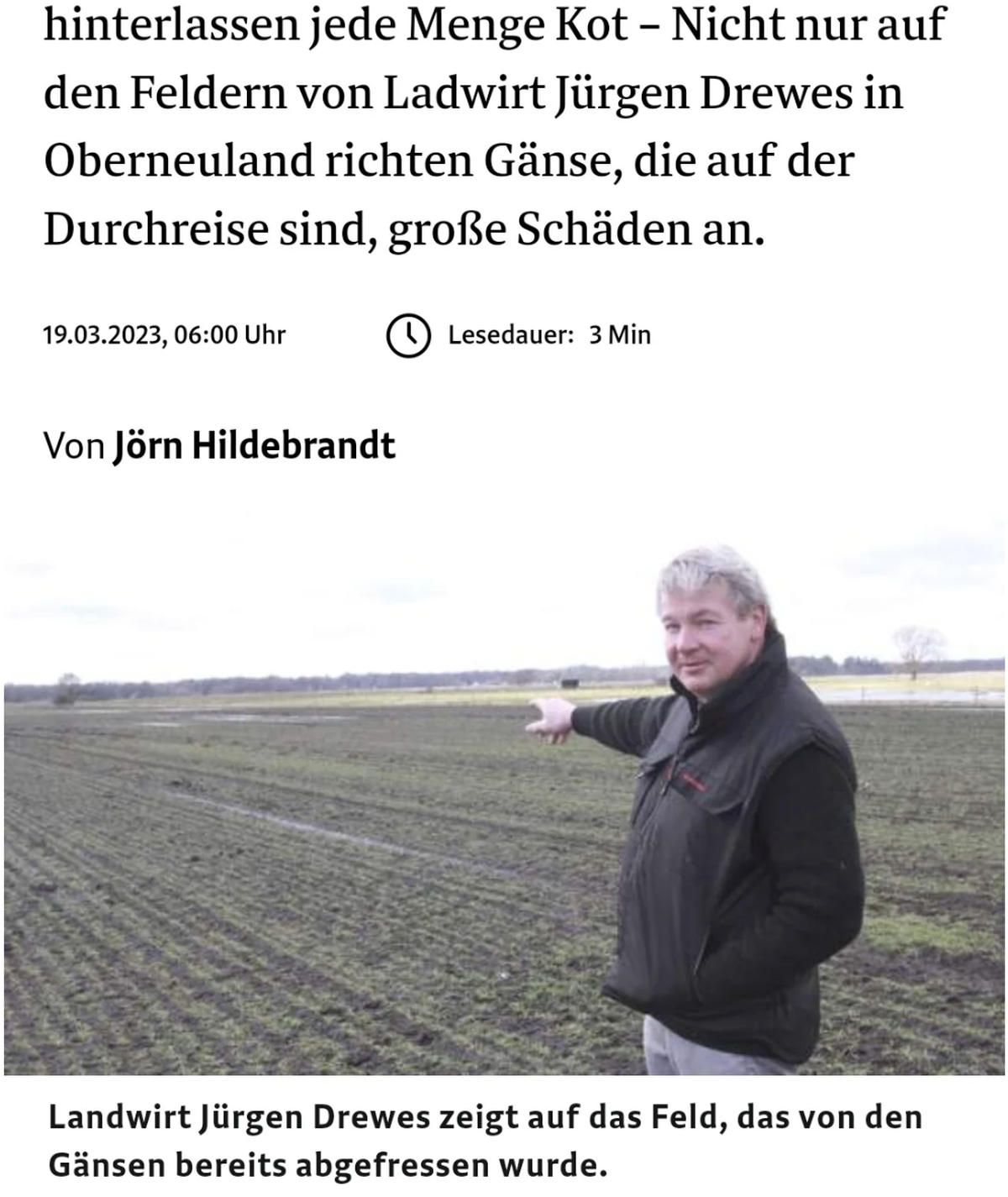 Renter zeigen