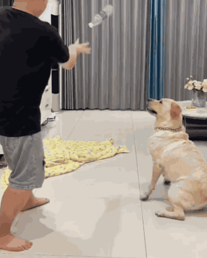 Animiertes GIF