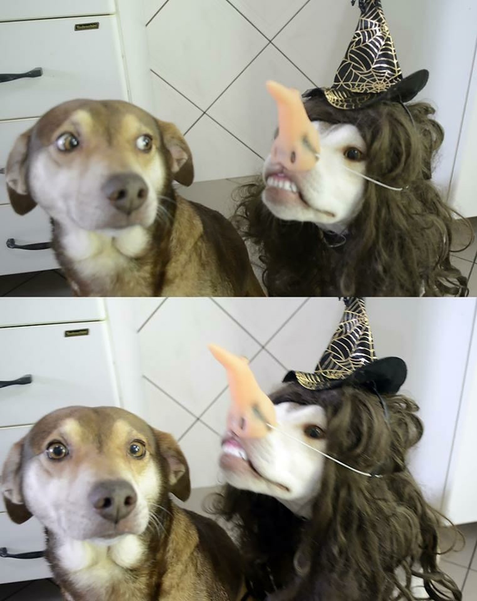 jeder hat diesen einen freund