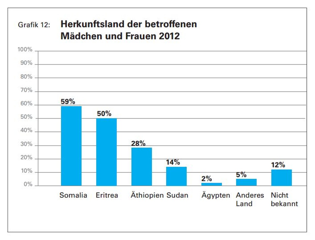 Die Grafik zeigt, welcher Anteil des befragten Fachpersonals beschnittene Frauen aus den genannten Ländern behandelte. Nach wie vor kommen die meisten betroffenen Frauen aus Somalia.&nbsp;