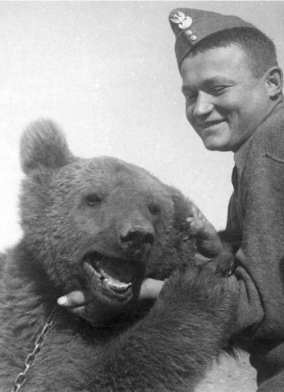 Wojtek, Soldatenbär