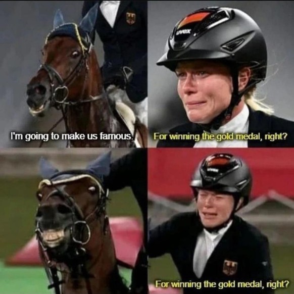 Trübet mich mein Sinn oder hör ich gar wirklich die Flöten des PICDUMPS? \nChame eigentli au da bi üs ide nöchi mal go Pferd haue oder mues mä für das ad Olympiade?