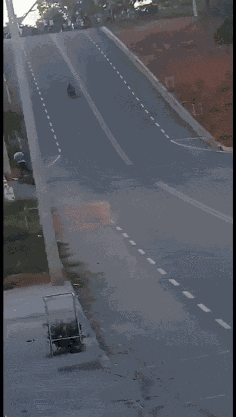 Animiertes GIF