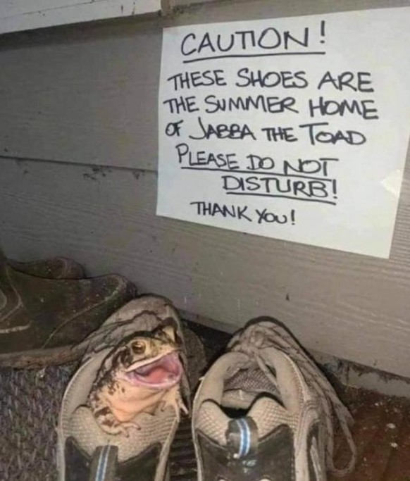 Übersetzung: «Diese Schuhe sind das Sommerheim von Jabba der Kröte. Bitte nicht stören! Danke!»
