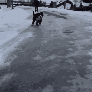 Animiertes GIF