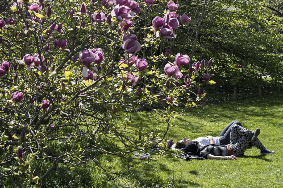 Zwei Frauen geniessen das herrliche Fruehlingswetter auf einer Wiese, aufgenommen am Samstag, 8. April 2017 in Zuerich. (KEYSTONE/Ennio Leanza)

People enjoy the sunny weather and the warm themperat ...