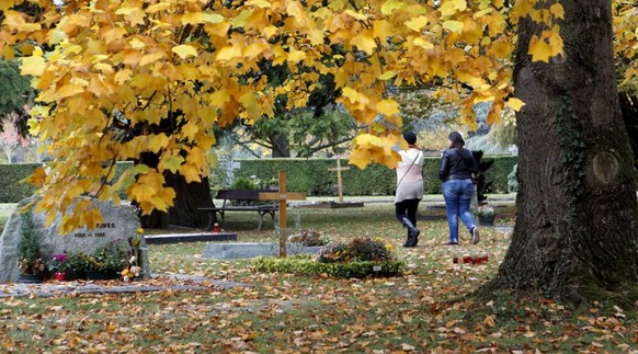 Bereits im 19. Jahrhundert waren die verdichteten B