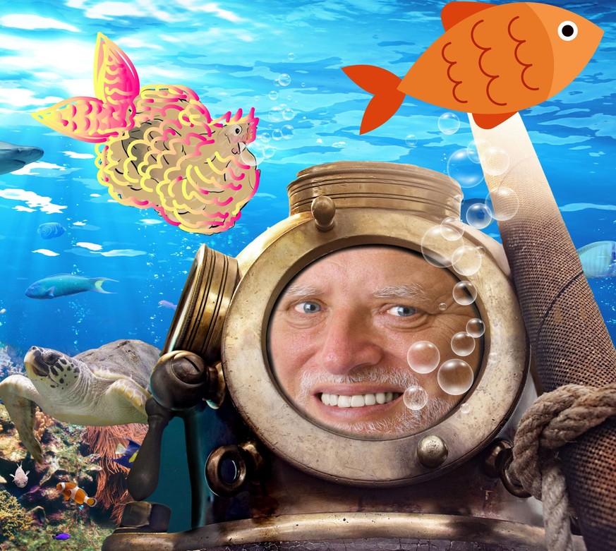 Und jetzt: 5 Minuten Luft anhalten! 🐡 PICDUMP!