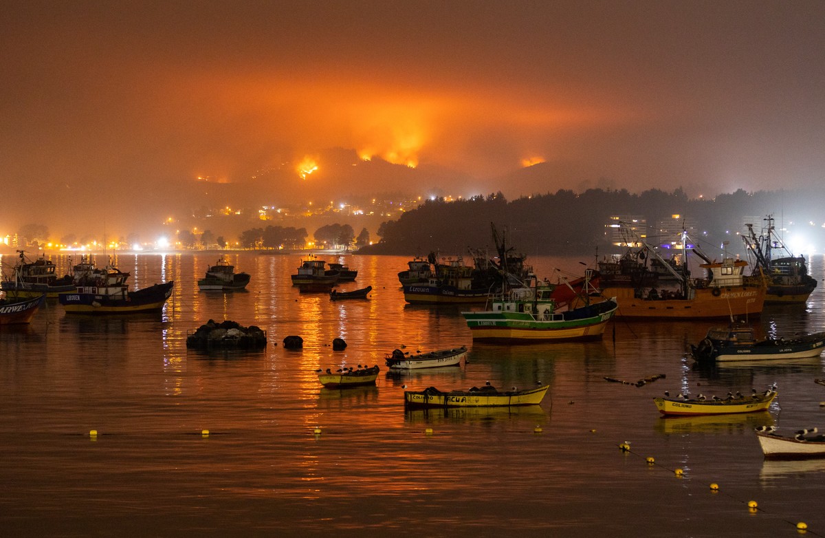 epa10448869 A forest fire burns in Alto de Menque, Biobio Region, Chile, 05 February 2023. Ongoing forest fires in Chile have destroyed more than 45,000 hectares of land since December 2022, mainly in ...