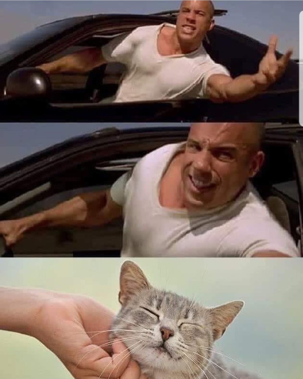 Kommt, Kinder! PICDUMP! рџ¦–
2 fast 2 furrrious...