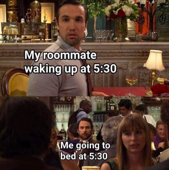 Memes, die das Zusammenleben mit einem Mitbewohner beschreiben