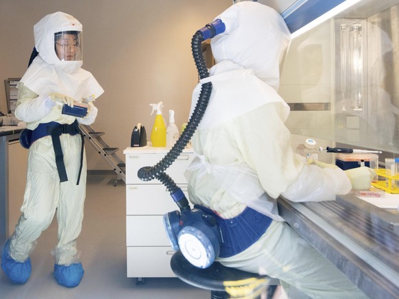 Scientists conduct research with corona viruses in a biological safety level 3 laboratory (high-security laboratory) at the Helmholtz Centre for Infection Research HZI, in Brunswick, Germany, May 8, 2 ...