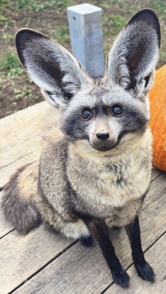 cute news

https://ch.pinterest.com/pin/839921399300836975/