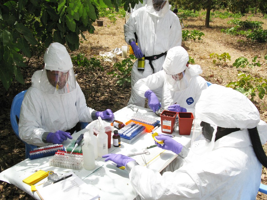Auf der Spur des Lassa-Virus: Forscher 2012 bei der Untersuchung von Nagetieren in Mali.<br data-editable="remove">