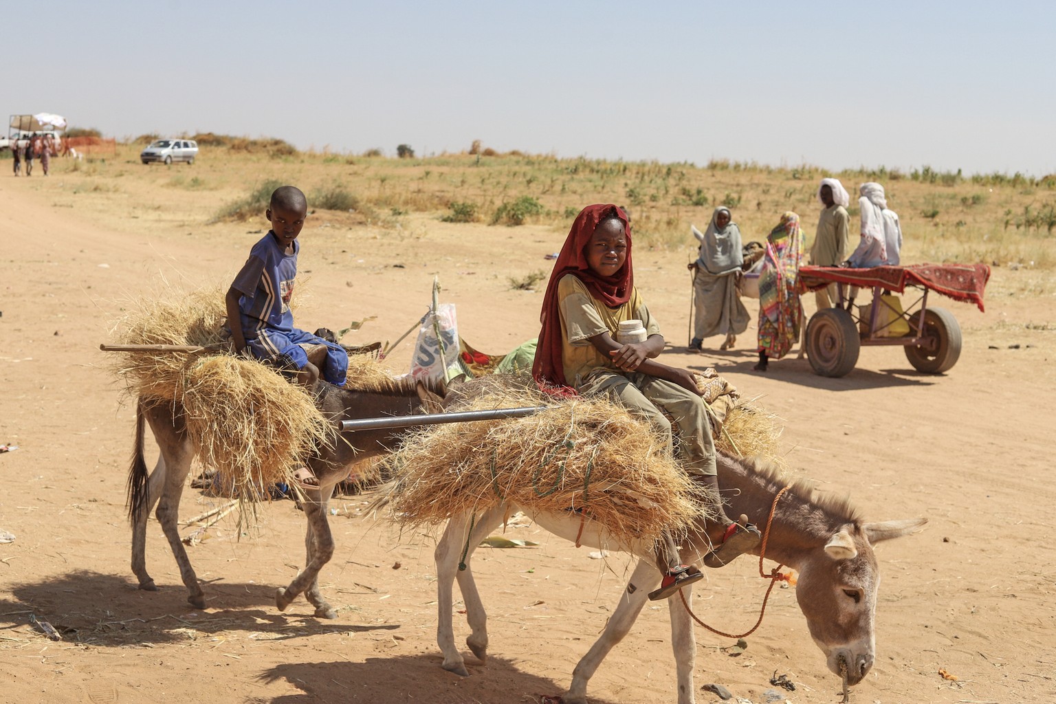 Sudanese who fled el-Fasher city, after Sudan&#039;s paramilitary forces killed hundreds of people in the western Darfur region, carry firewood at their camp in Tawila, Sudan, Wednesday, Oct. 29, 2025 ...
