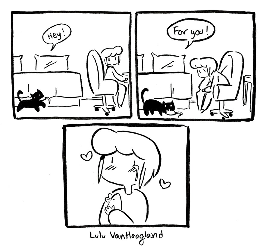 27 Comics, die genau beschreiben, wie das Leben mit einer Katze ist – Katzencomics