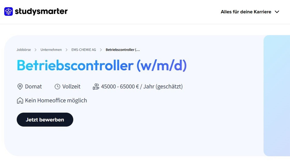 Die Stellenausschreibung auf «studysmarter.de».