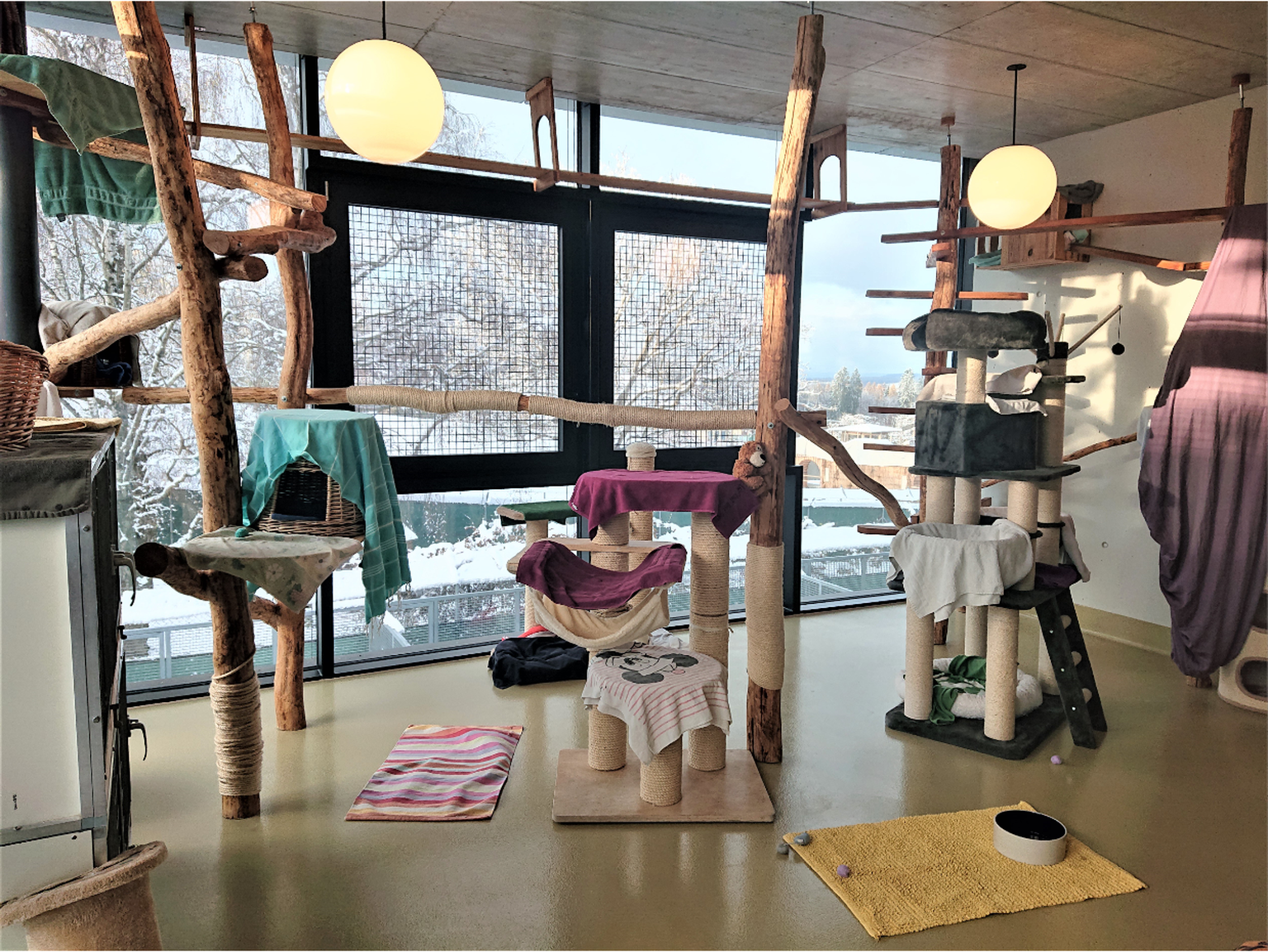 Das gemütliche Zuhause der Katzen im Tierhaus des Zürcher Tierschutz.