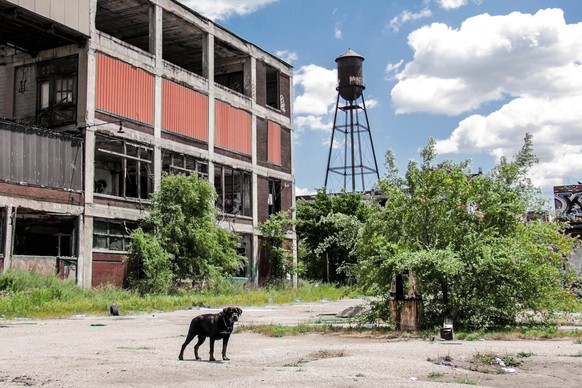 Slum in Detroit.