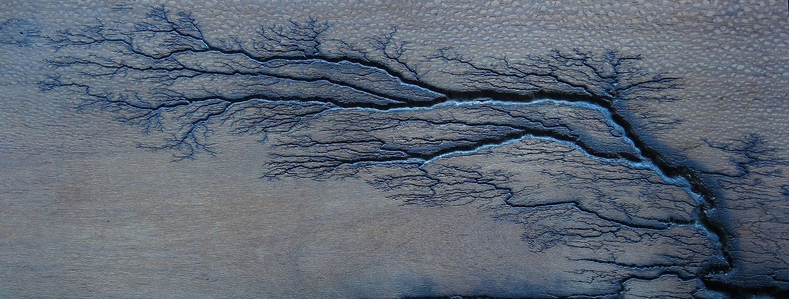 Lichtenberg branching figure in leopard wood.  https://commons.wikimedia.org/w/index.php?curid=45387631