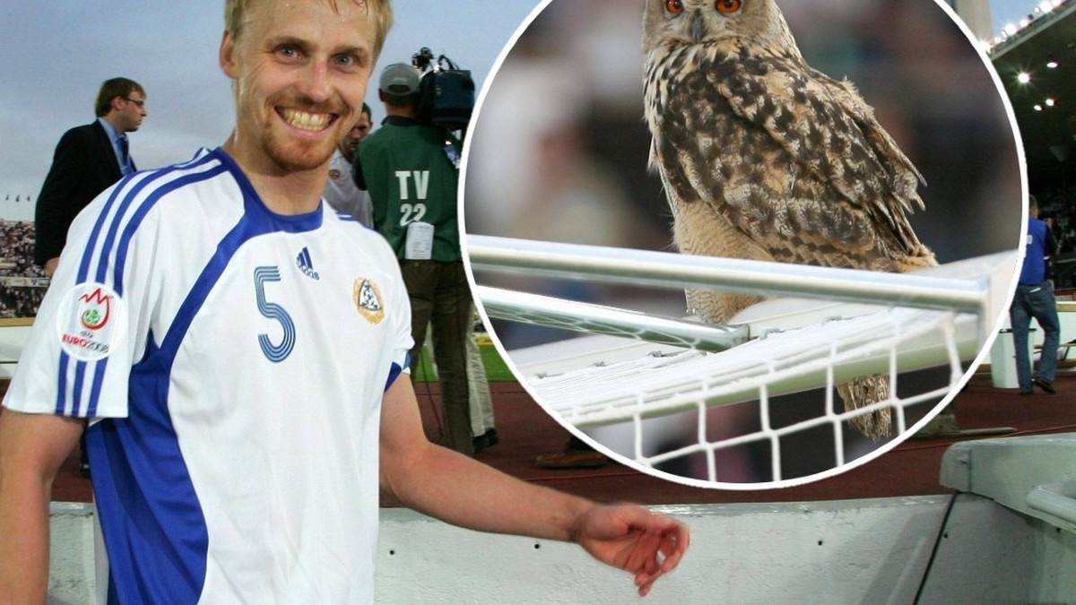 Wie Finnlands Fussball-Nati zum Spitznamen «Huuhkajat» (die «Uhus») kam