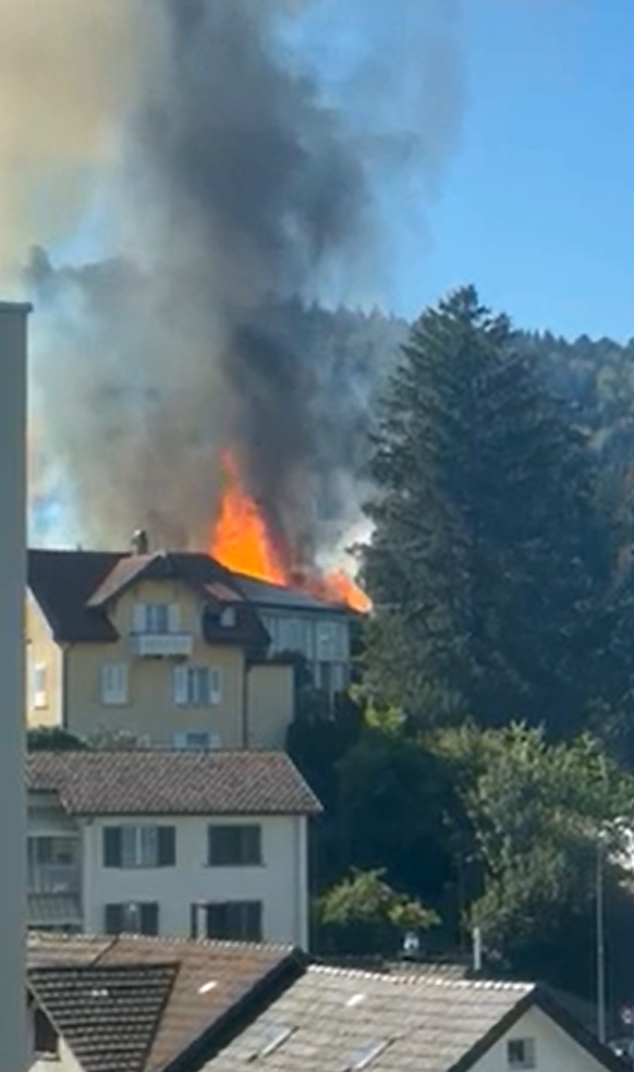 brand menziken