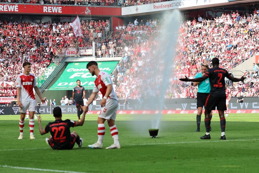 GER, 1.FBL. 1. FC Koeln vs. FC Bayern Muenchen / 27.05.2023, Rheinenergie Stadion, Koeln, GER, 1.FBL. 1. FC Koeln vs. FC Bayern Muenchen, im Bild: ploetzlich gehen die Wassersprenger an. *** GER, 1 FB ...