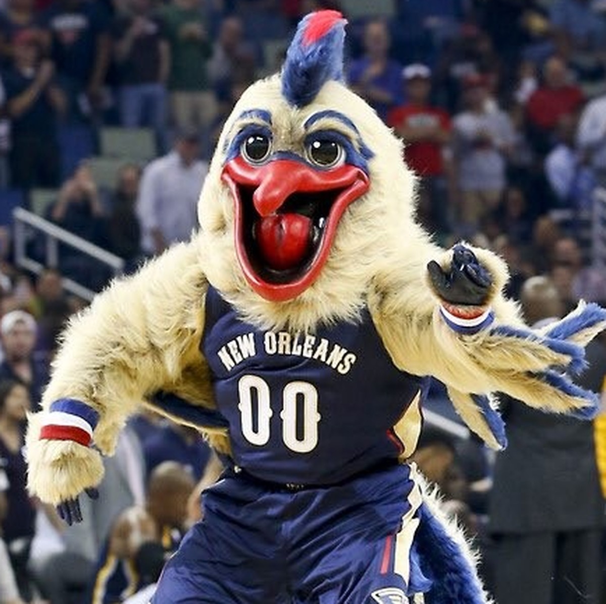 Pierre the Pelican