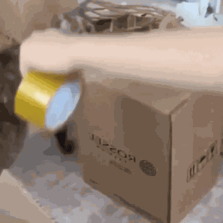 Animiertes GIF