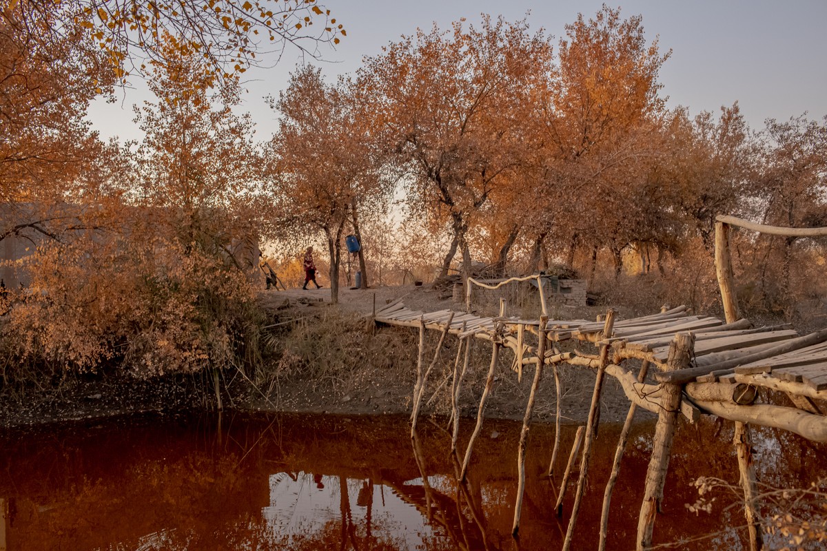 This image provided by World Press Photo is part of a series titled Battered Waters which won the World Press Photo Long Term Projects award by photographer Anush Babajanyan, VII Photo for National Ge ...