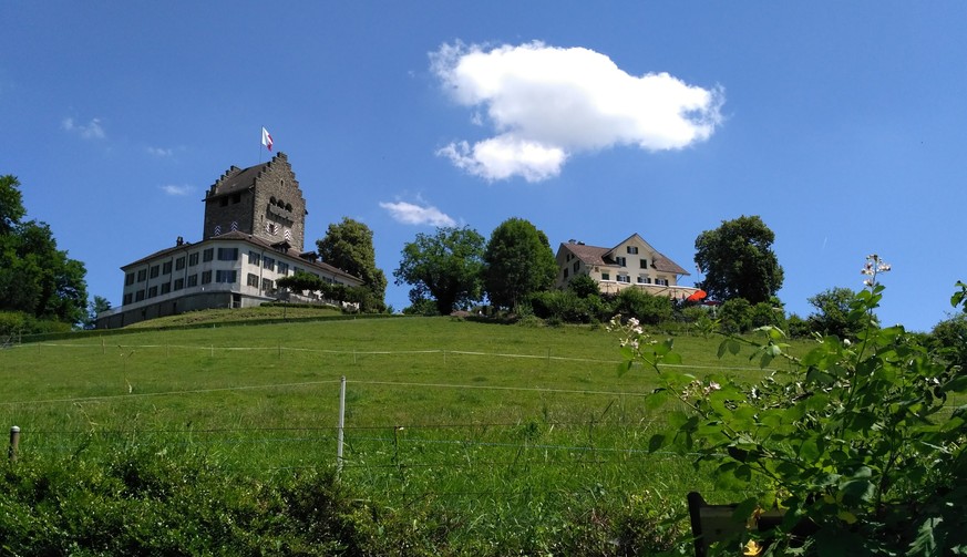 So ein schönes Schloss, aber das Jahr begann mit viel Ungewissheit betreffend dem Steuerfuss 2020: Uster.