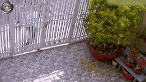 Animiertes GIF