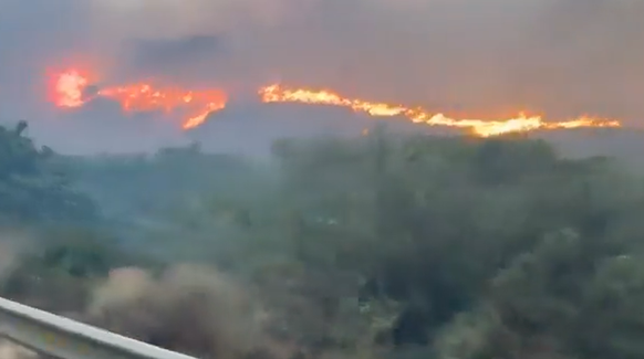 Waldbrand Spanien