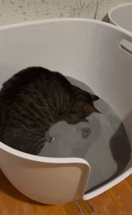 Animiertes GIF