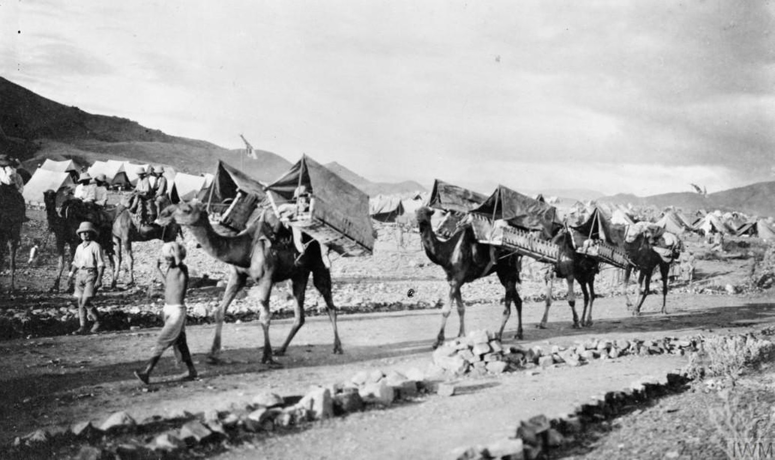 Camels carry wounded men to safety on the North West Frontier of India in 1917. Camels were also used in the Sinai and Palestine campaigns. Their ability to carry heavy loads and go without water made ...