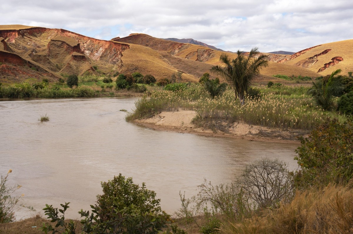 Madagaskar Artenvielfalt Pflanzen