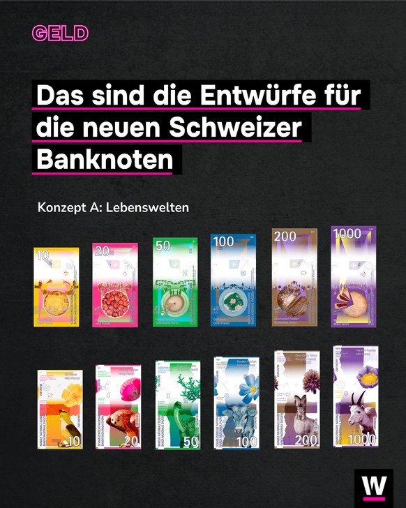 &lt;p&gt;Die Schweizerische Nationalbank (SNB) kommt mit der neuen Banknotenserie voran. Es liegen zwölf Entwürfe vor, zu denen nun die Meinung der Bevölkerung eingeholt wird.&lt;/p&gt;